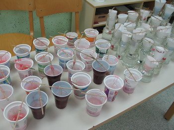 IMG_6087.JPG
