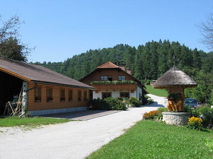 IMG_1979.JPG