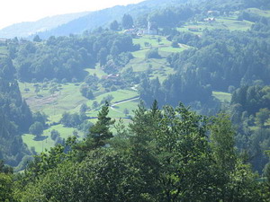 IMG_1986.JPG