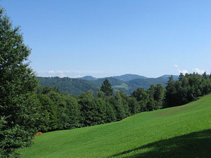 IMG_1996.JPG