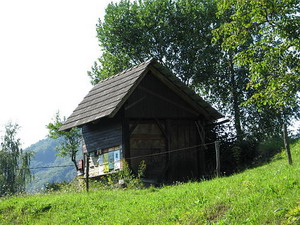 IMG_2006.JPG